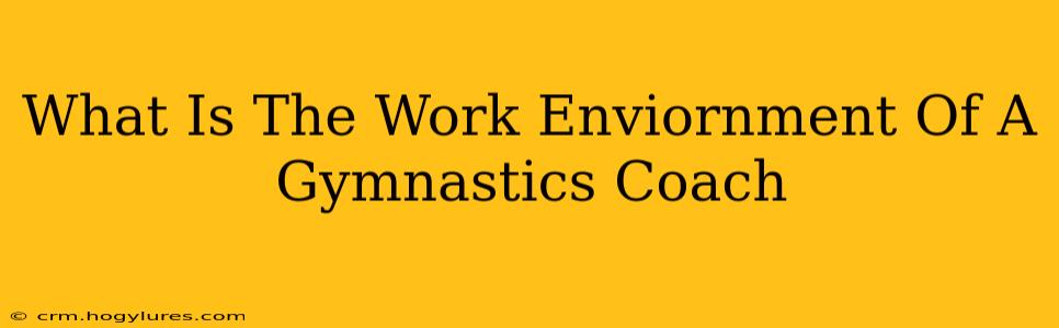 What Is The Work Enviornment Of A Gymnastics Coach